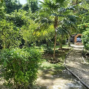 Mini Pini Bird Watching And Cenote Loft , Cozumel Mexico